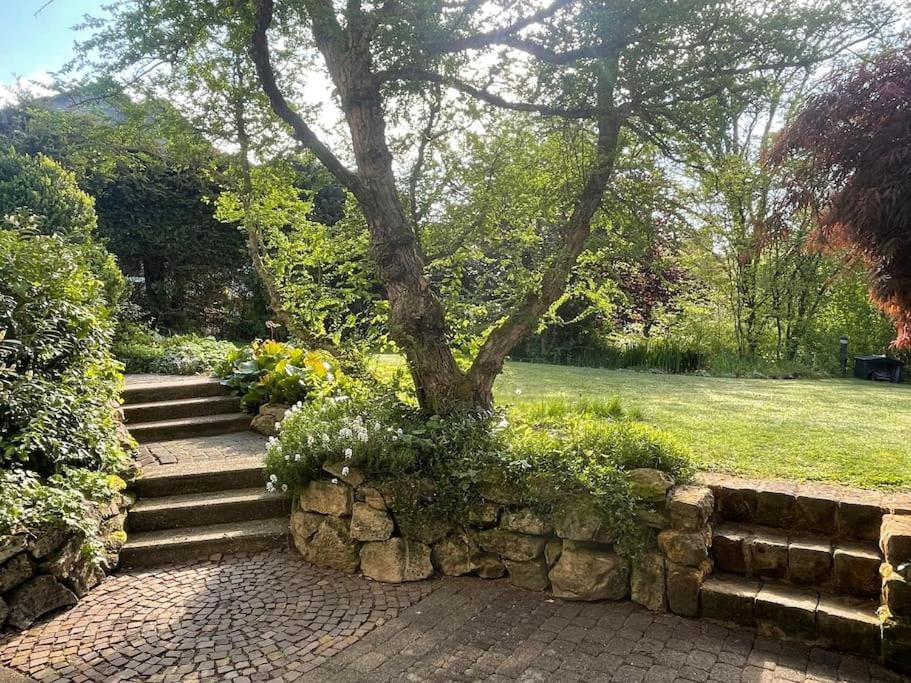 Ferienwohnung Zum Zauberwald Marsberg Extérieur photo
